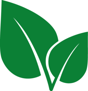 veggie